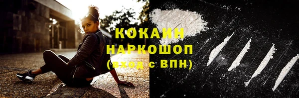 ECSTASY Богданович